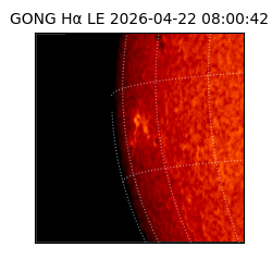 gong - 2026-04-22T08:00:42