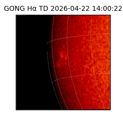 gong - 2026-04-22T14:00:22