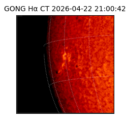 gong - 2026-04-22T21:00:42