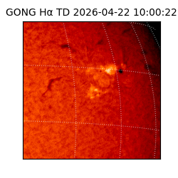 gong - 2026-04-22T10:00:22