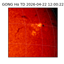 gong - 2026-04-22T12:00:22