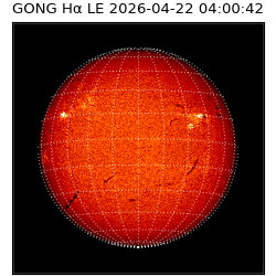 gong - 2026-04-22T04:00:42