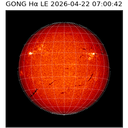 gong - 2026-04-22T07:00:42
