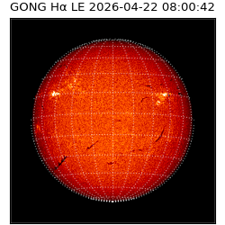 gong - 2026-04-22T08:00:42