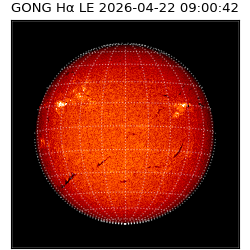 gong - 2026-04-22T09:00:42