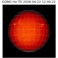 gong - 2026-04-22T12:00:22