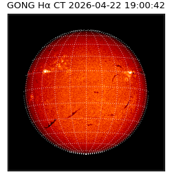 gong - 2026-04-22T19:00:42