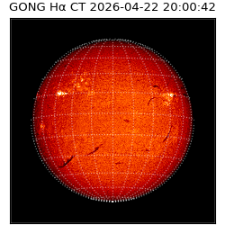 gong - 2026-04-22T20:00:42