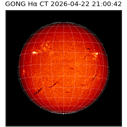gong - 2026-04-22T21:00:42