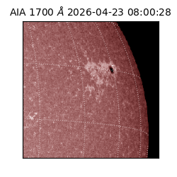 saia - 2026-04-23T08:00:28.716000