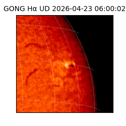 gong - 2026-04-23T06:00:02