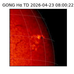 gong - 2026-04-23T08:00:22