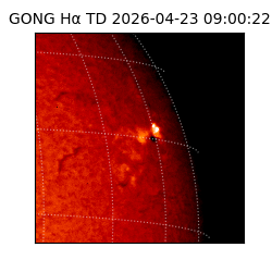 gong - 2026-04-23T09:00:22