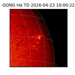 gong - 2026-04-23T10:00:22