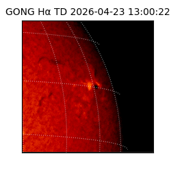 gong - 2026-04-23T13:00:22