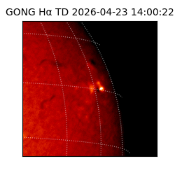 gong - 2026-04-23T14:00:22
