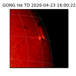gong - 2026-04-23T16:00:22
