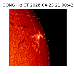 gong - 2026-04-23T21:00:42