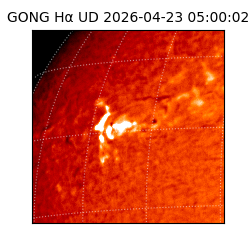 gong - 2026-04-23T05:00:02