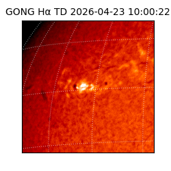 gong - 2026-04-23T10:00:22