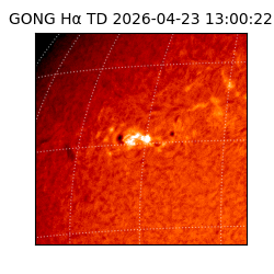 gong - 2026-04-23T13:00:22