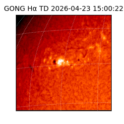 gong - 2026-04-23T15:00:22