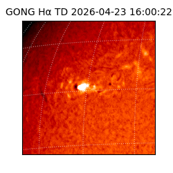 gong - 2026-04-23T16:00:22