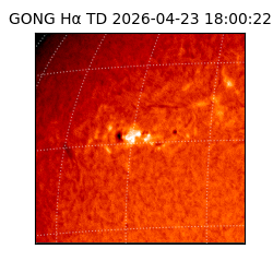 gong - 2026-04-23T18:00:22