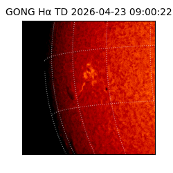 gong - 2026-04-23T09:00:22