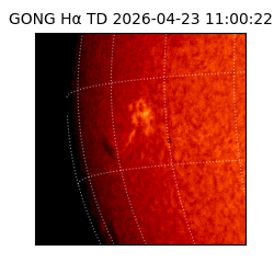 gong - 2026-04-23T11:00:22