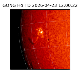 gong - 2026-04-23T12:00:22