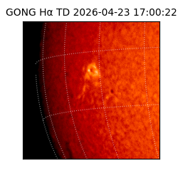 gong - 2026-04-23T17:00:22