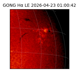 gong - 2026-04-23T01:00:42
