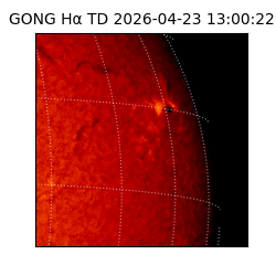 gong - 2026-04-23T13:00:22