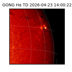 gong - 2026-04-23T14:00:22