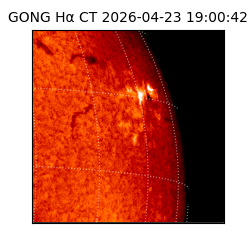 gong - 2026-04-23T19:00:42