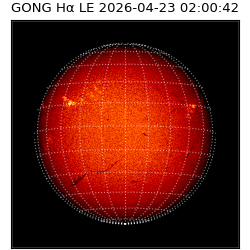gong - 2026-04-23T02:00:42