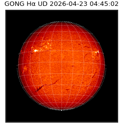 gong - 2026-04-23T04:45:02