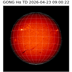 gong - 2026-04-23T09:00:22