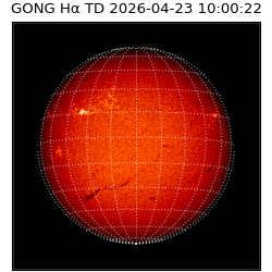 gong - 2026-04-23T10:00:22
