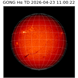 gong - 2026-04-23T11:00:22