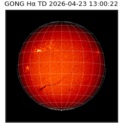 gong - 2026-04-23T13:00:22