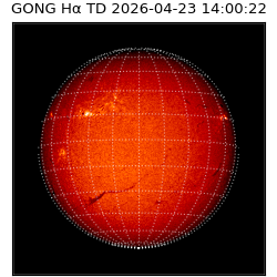 gong - 2026-04-23T14:00:22