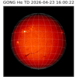 gong - 2026-04-23T16:00:22