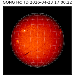 gong - 2026-04-23T17:00:22