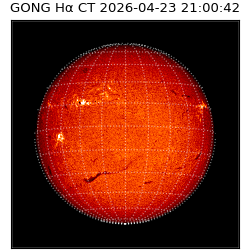 gong - 2026-04-23T21:00:42