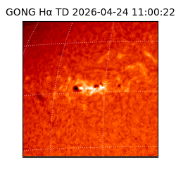 gong - 2026-04-24T11:00:22