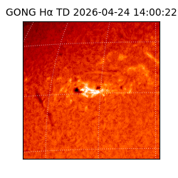 gong - 2026-04-24T14:00:22