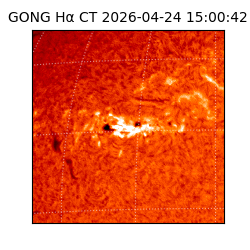 gong - 2026-04-24T15:00:42