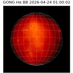 gong - 2026-04-24T01:00:02
